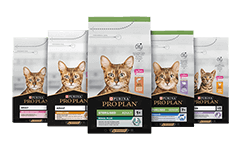 Maintenance Nutrition för katter