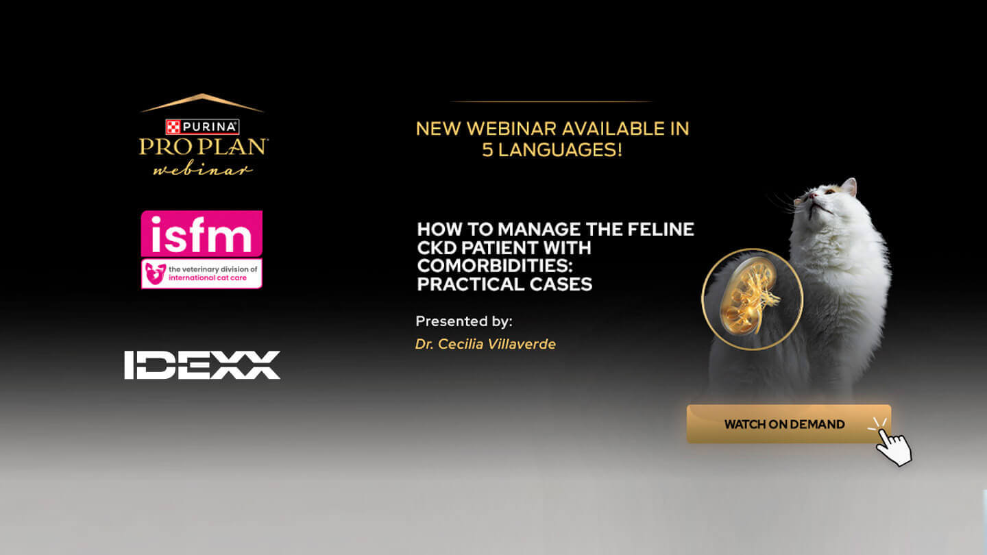 Se inspelningen av webbinariet ”How to manage the CKD patient with Comorbidities”