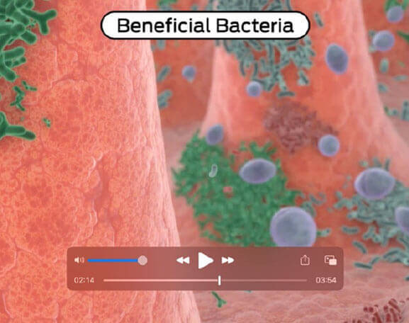 PRO PLAN® FortiFlora®. Verkningssätt