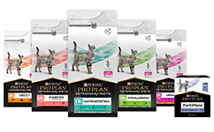 Veterinary Diets och relaterade produkter för katter