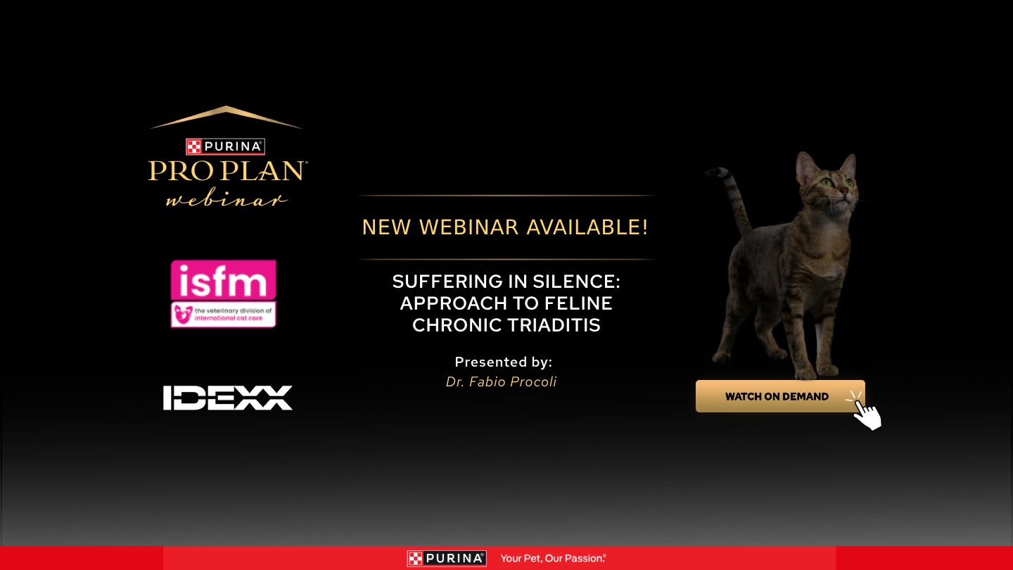 Ny inspelning tillgänglig - Suffering in Silence: Approach to Feline Chronic Triaditis