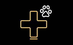 Jag är djursjukskötare