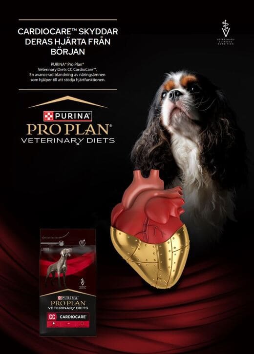 CardioCare - Veterinärbroschyr