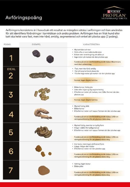 Avföringspoäng - A4 affisch