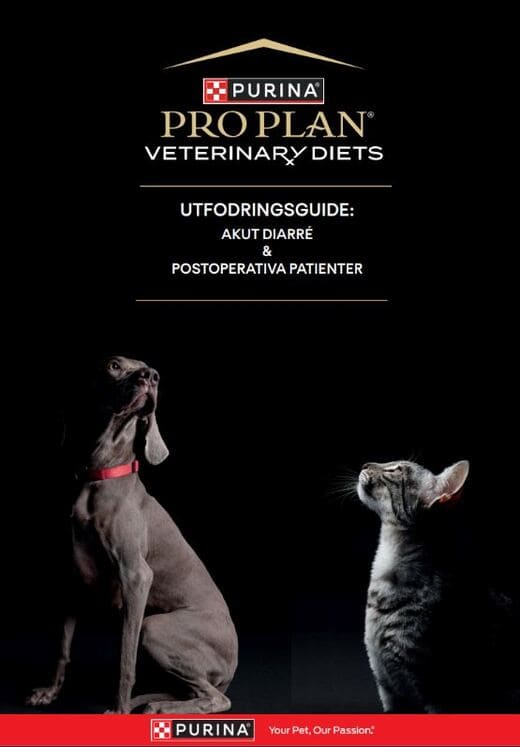 GI Utfodringsguide - Veterinärbroschyr
