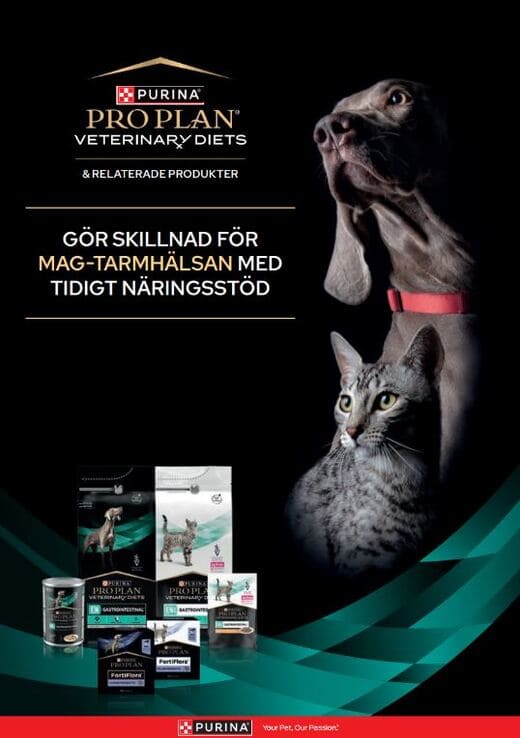 GI - Veterinärbroschyr