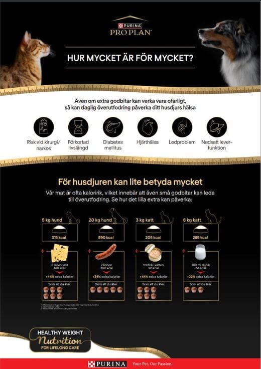 Snackchart - Affisch