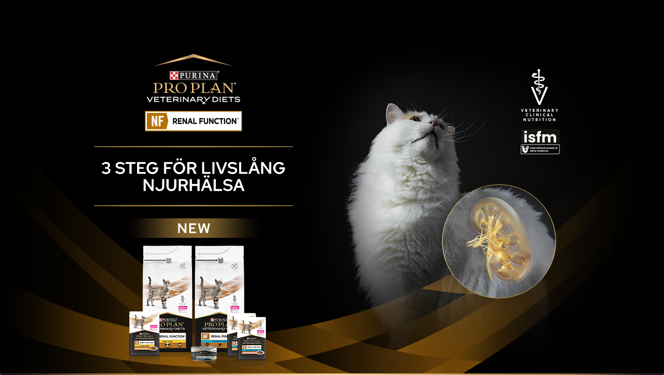 Reklambanner med en vit katt som visar de tillgängliga Pro Plan Veterinary Diets för NF Renal Function.