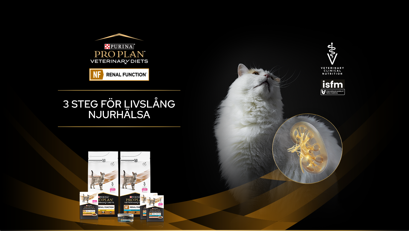 Reklambanner med en vit katt som visar de tillgängliga Pro Plan Veterinary Diets för NF Renal Function.