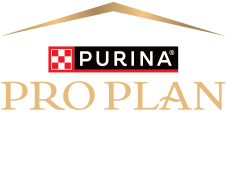 Purina® Pro Plan Logo