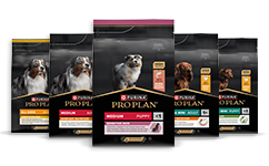 Canine Maintenance Nutrition för hundar