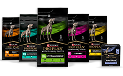 Veterinary Diets för hundar