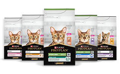 Feline Maintenance Nutrition för katter