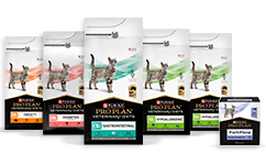 Veterinary Diets för katter