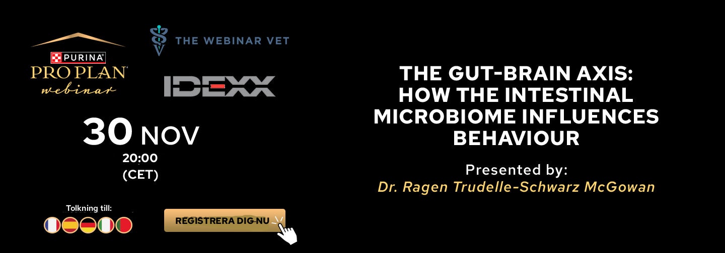 The Gut-Brain Axis: How the Intestinal Microbiome Influences Behaviour