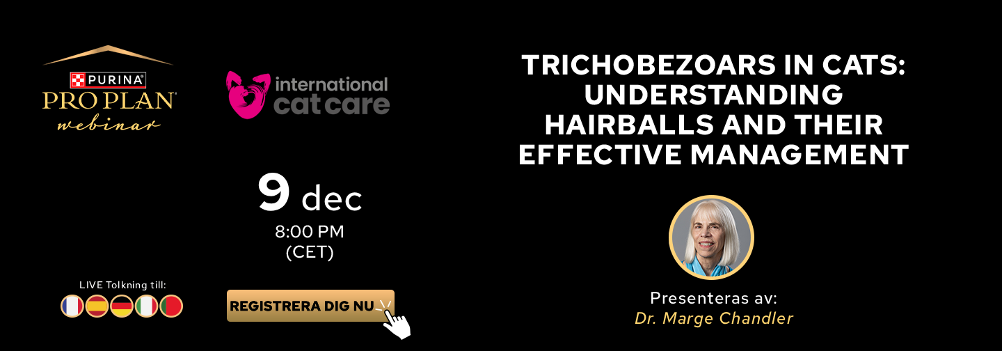 Webbinarium om trichobezoarer hos katter den 9 december kl. 20.00 CET med Dr. Marge Chandler.