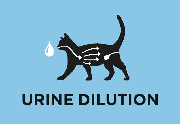 Hjälper till att öka urinspädning och stödja urinhälsa