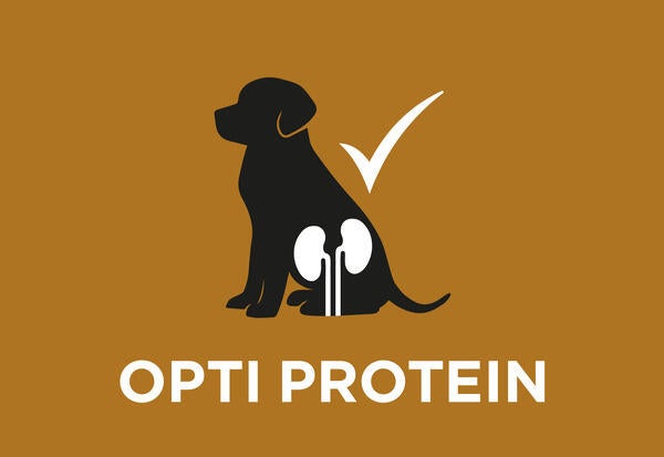 Högkvalitativt protein, i begränsade mängder