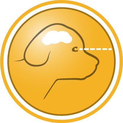 För en sund utveckling av hjärna och syn