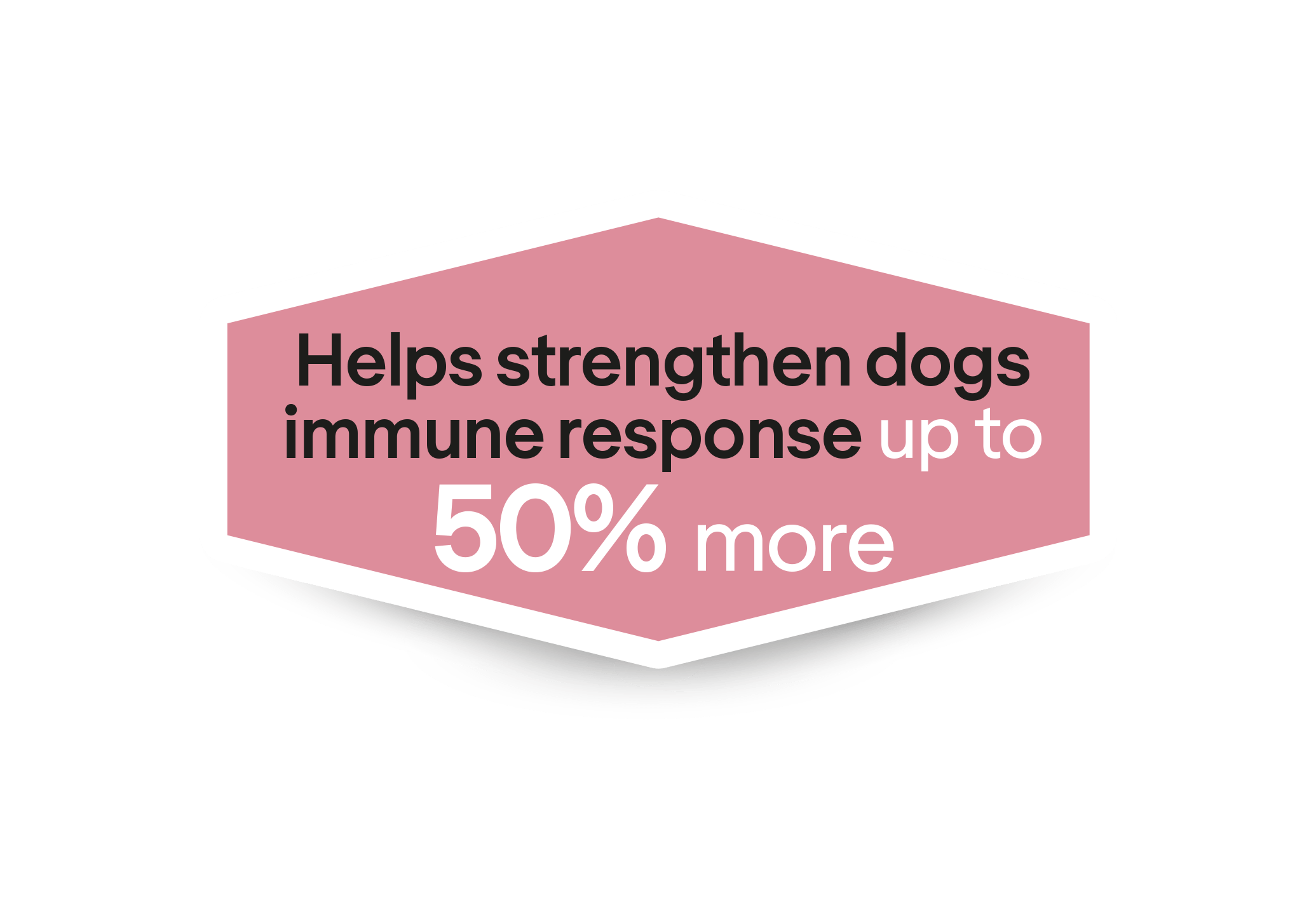 Hjälper till att stödja hundars immunrespons upp till 50 % mer