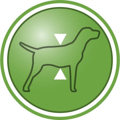 Hjälper till att bibehålla muskelmassan