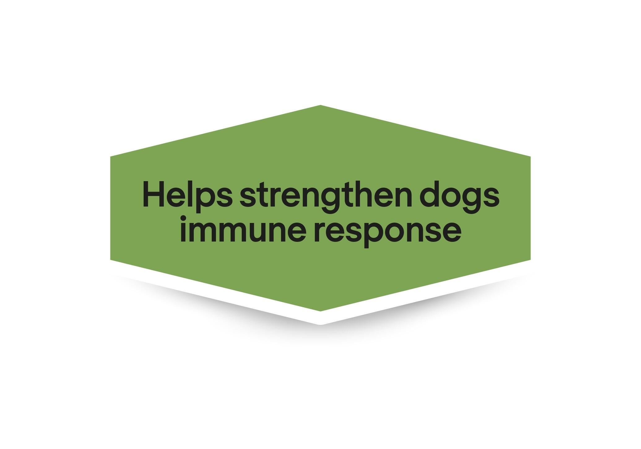 Hjälper till att stödja hundars immunrespons