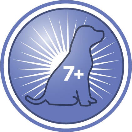 Hjälper till att öka aktivitetsnivåerna, livligheten och interaktionerna under lekstunder för äldre hundar