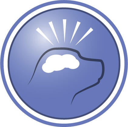 Bevisad att hjälpa stötta kognitiva funktioner och ökar aktivitetsnivåerna