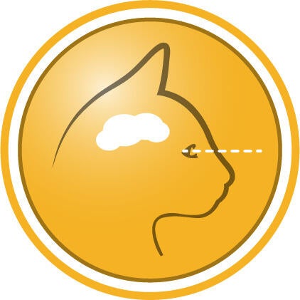 Hjälper till att stötta utveckling av syn och hjärnan