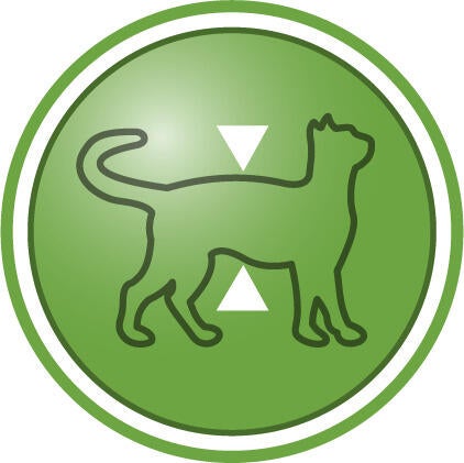 Hjälper till att bibehålla muskelmassa efter sterilisering