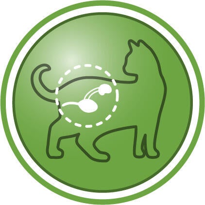 Hjälper till att bibehålla urinvägshälsa hos kastrerade katter