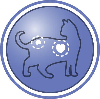 Hjälper till att stödja viktiga vitala funktioner hos katter över 7 år 