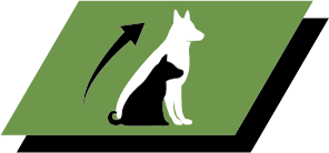 Sund tillväxt och långsiktig hälsa