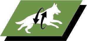 Stödjer friska leder och en aktiv livsstil