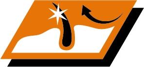 Håll hundens päls vackert glansig