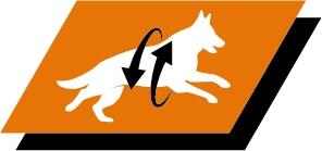 Stödja friska leder och en aktiv livsstil