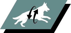 Stödjer friska leder och en aktiv livsstil