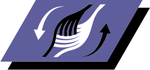 Stödjer snabb muskelåterhämtning