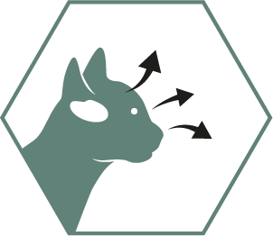 Hjälper att stötta bra syn och hjärnans utveckling tack vare DHA