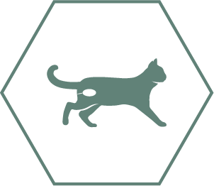 Upprätthåller urinvägshälsan hos kastrerade katter tack vare balanserade mineraler