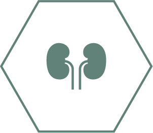 Främjar friska njurar tack vare en speciell kombination av näringsämnen inklusive antioxidanter, arginin och