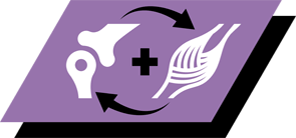 Hjälper till att stötta sund tillväxt av ben och muskler