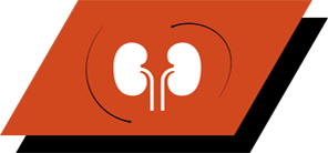 Med arginin, antioxidanter och omega-3-fettsyror för att främja en hälsosam njurfunktion