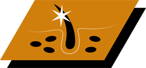 Med omega-3- och omega-6-fettsyror för att upprätthålla en frisk hud och vacker päls