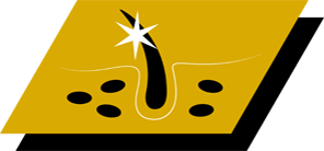 Hjälper till att upprätthålla frisk hud och glansig päls tack vare vitamin-A, linolsyra och zink