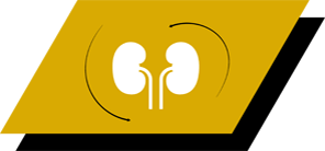 Med arginin, antioxidanter och omega-3-fettsyror för att främja friska njurar