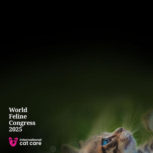 Delta i vår rundabordsdiskussion