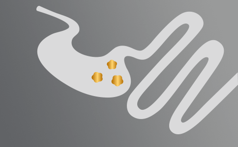 Gastrointestinal hälsa