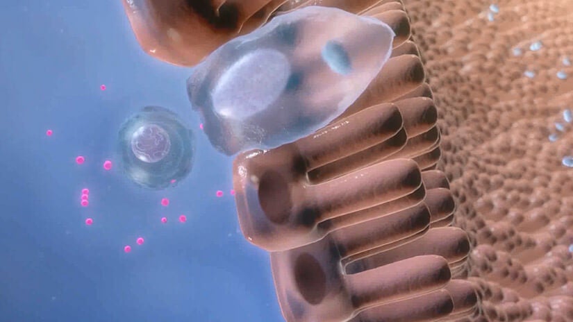 PPVD FortiFlora Videos